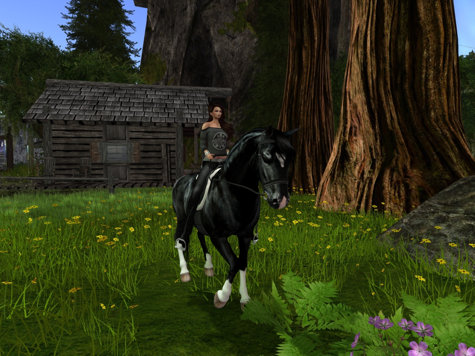 Auf der Sim Calas Galadhon Park in Second Life