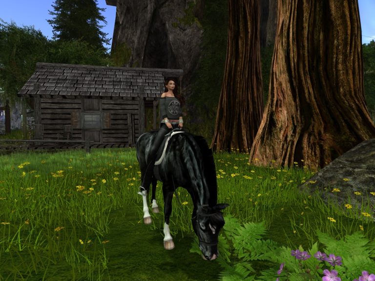 Auf der Sim Calas Galadhon Park in Second Life