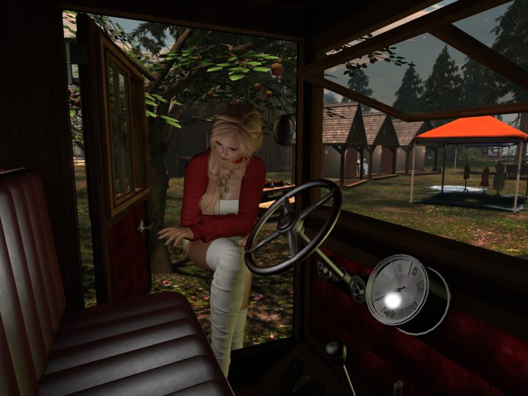Auf der Sim Medow Rose in Second Life