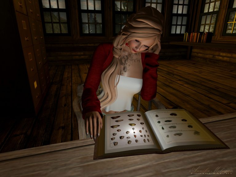 Auf der Sim Medow Rose in Second Life