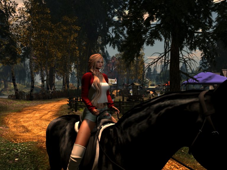 Auf der Sim Medow Rose in Second Life