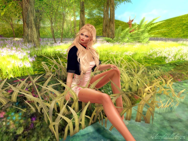 Auf der Sim The Secret Garden in Second Life