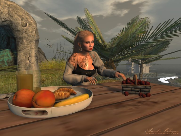 Auf der Sim La Vie in Second Life