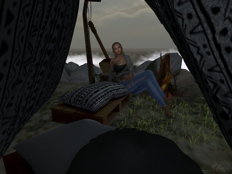 Auf der Sim La Vie in Second Life