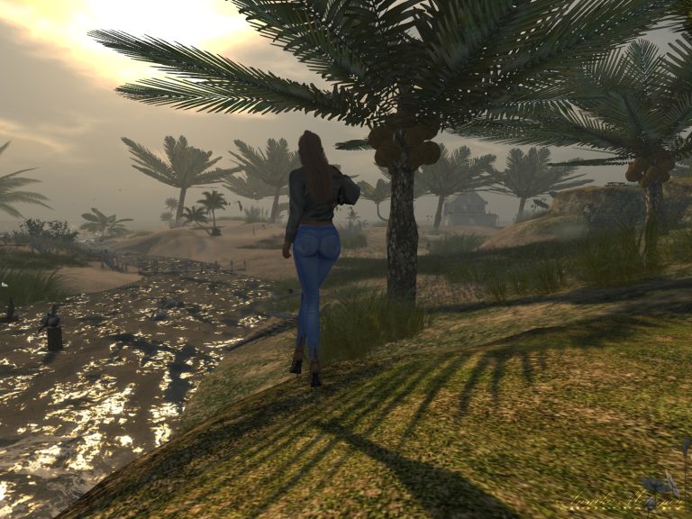 Auf der Sim La Vie in Second Life