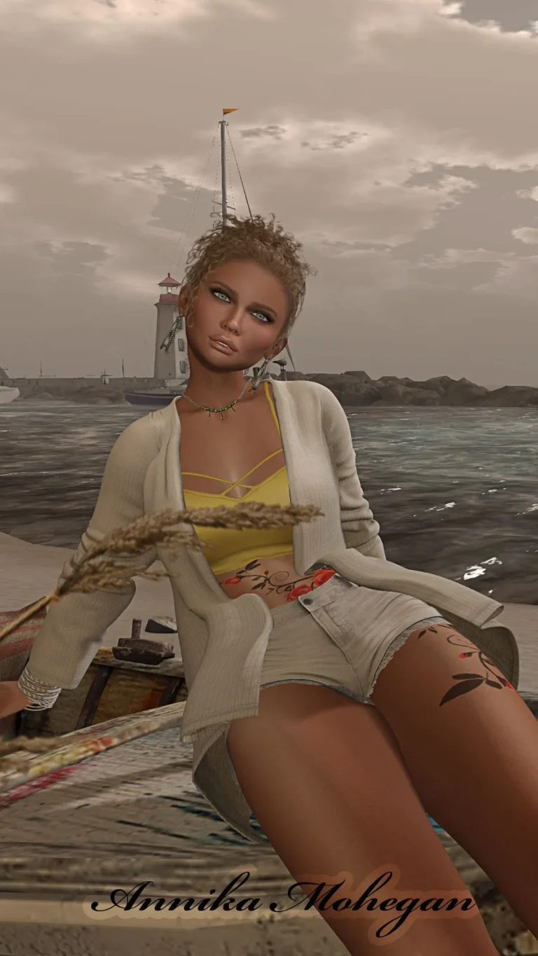 Auf der Sim Saint Martin in Second Life