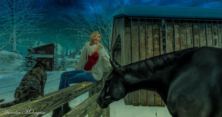 Auf der Sim Snow Falls in Second Life