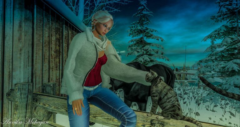Auf der Sim Snow Falls in Second Life