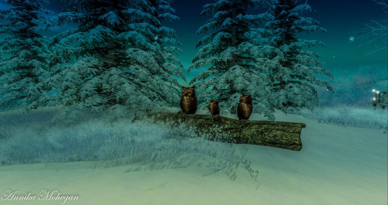 Auf der Sim Snow Falls in Second Life