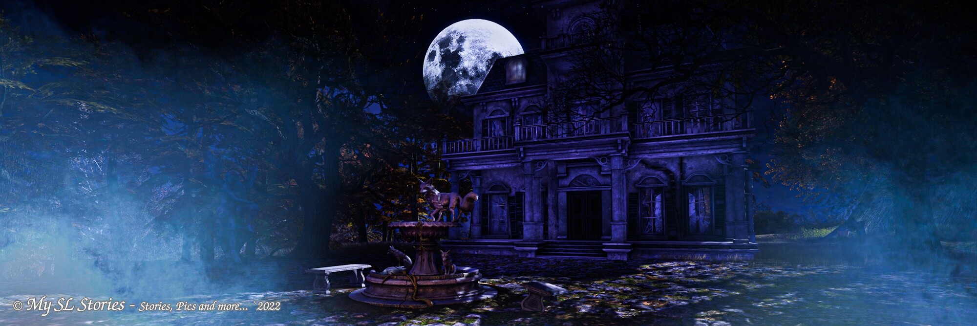 lost in the night