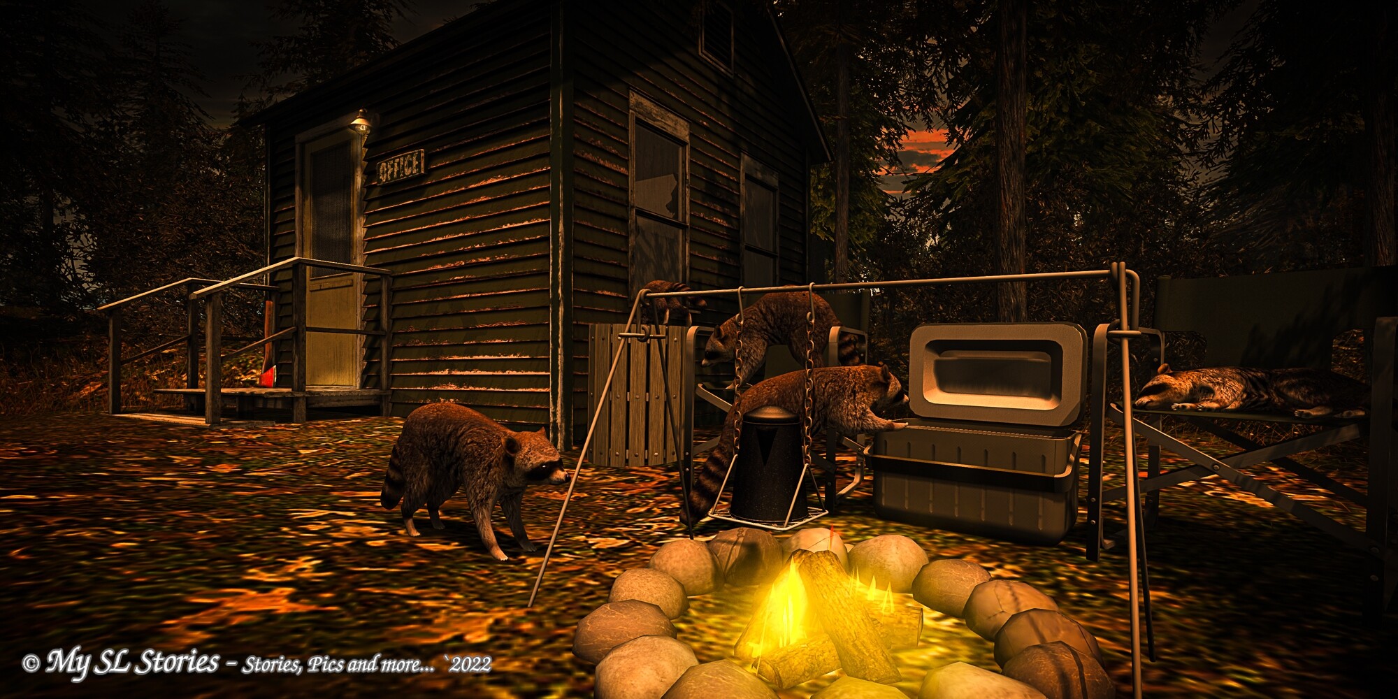 at night in the forest