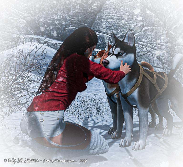 Maja Lewsey in rotem Strickpullover kniet im Schnee und streichelt einen Husky im Geschirr, Luanes World in Second Life